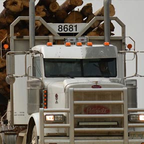 Woodlands Operations